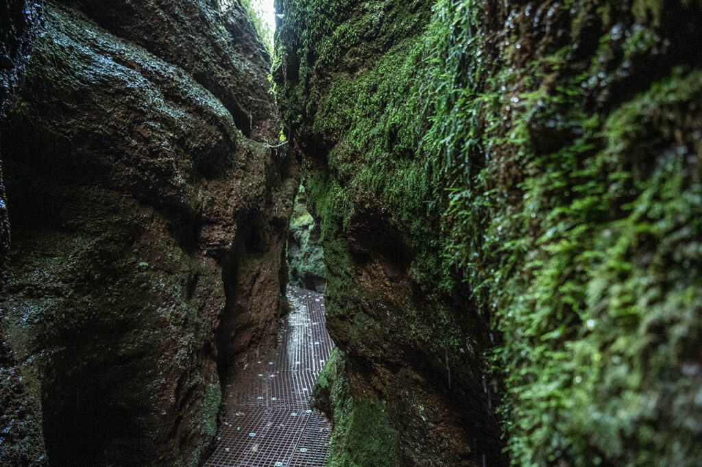 Ausflugsziele in Thüringen, Drachenschlucht Eisenach, Foto: Frank Liebold, Jenafotografx