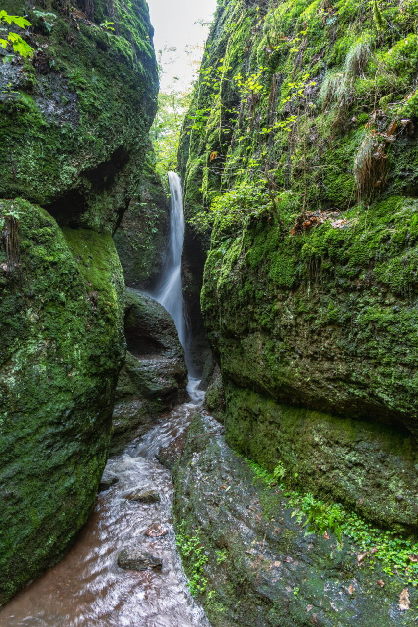 Grüne Natur pur in Thüringen erleben, Drachenschlucht Eisenach. Foto: Frank Liiebold, Jenafotografx
