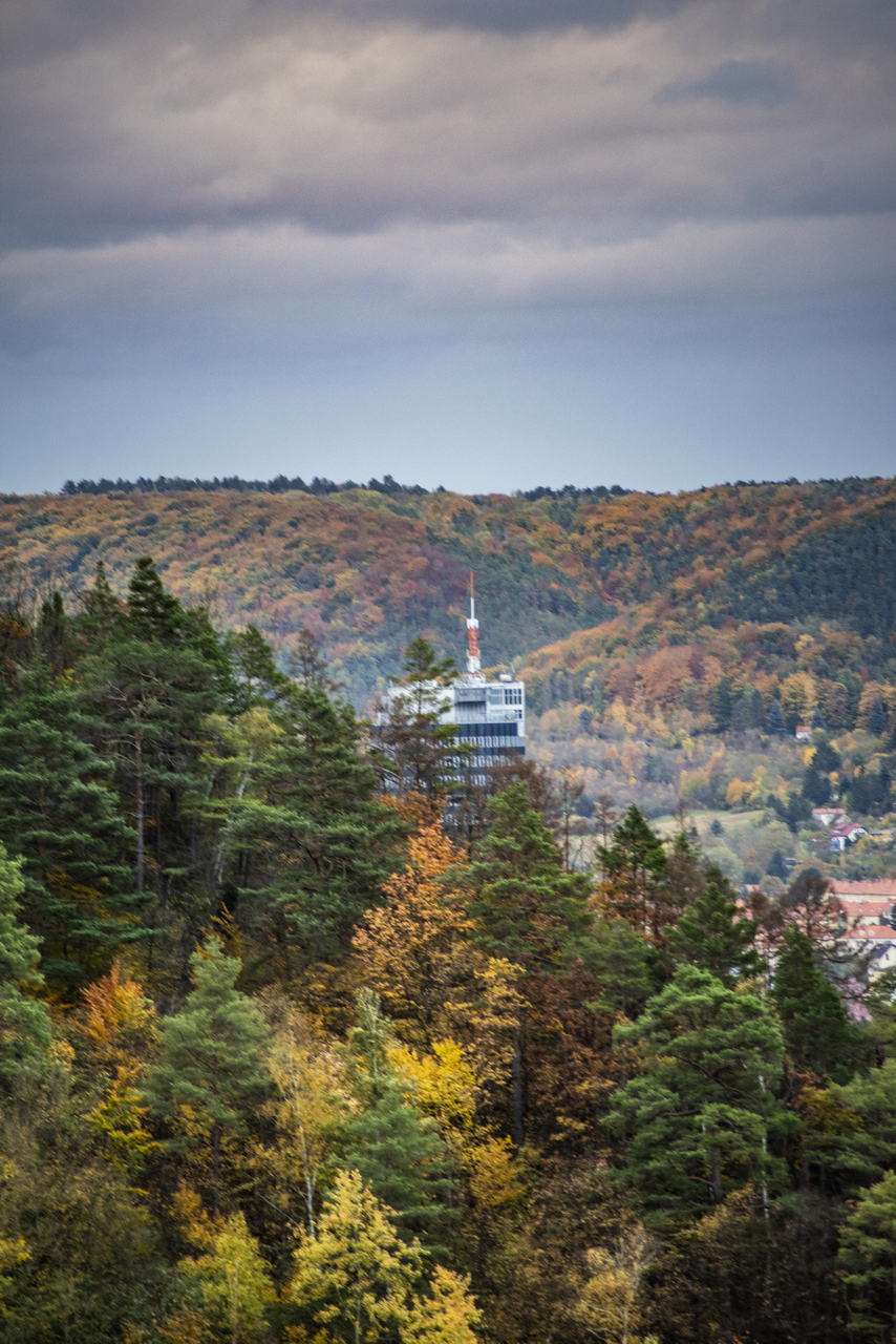 Herbstleuchten im Mühltal: Perückensträucher in Jena. Ein Ausflugstipp für die Herbstferien.