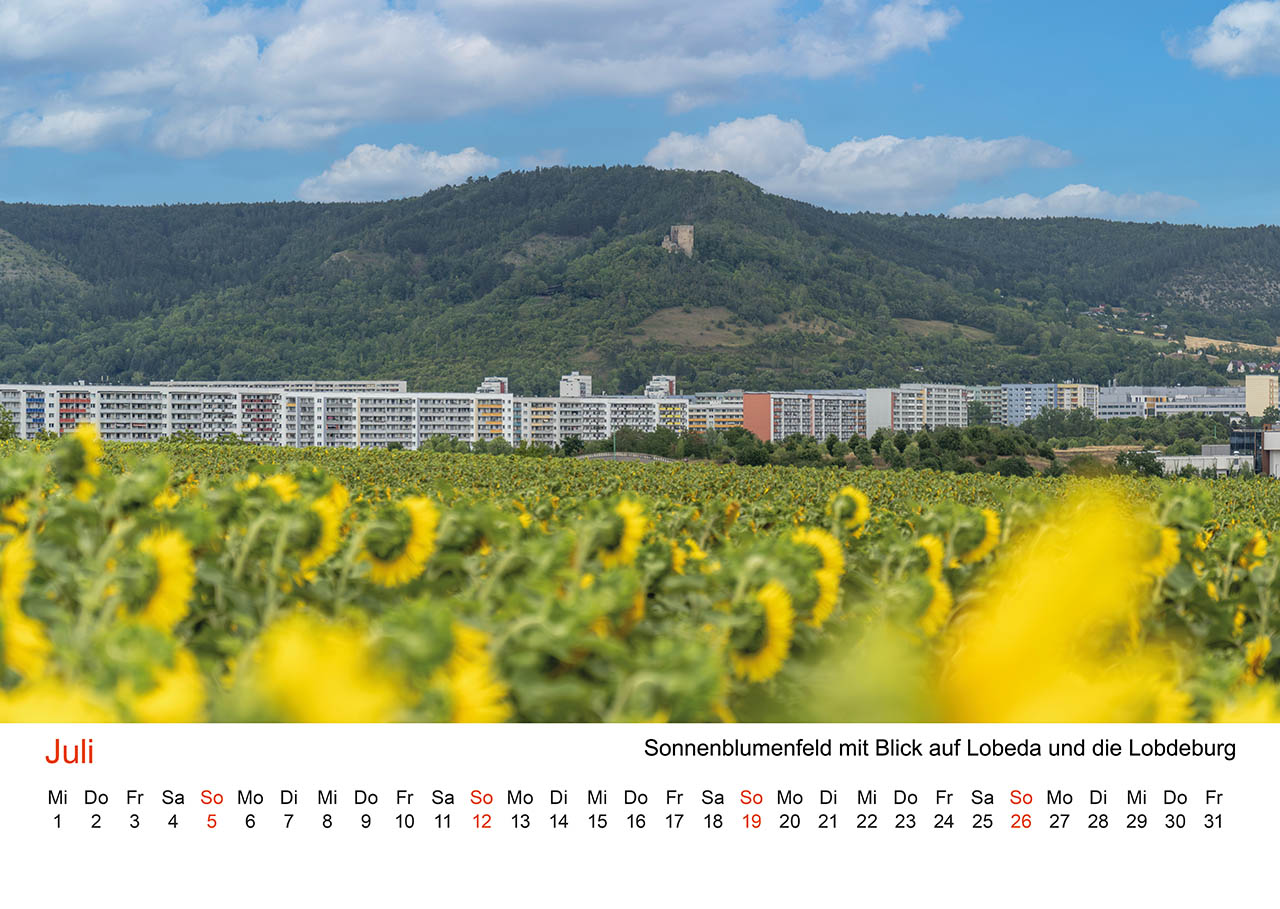 Juli: Sonnenblumenfeld mit Blick auf die Lobdeburg Juli: Sonnenblumenfeld mit Blick auf die Lobdeburg